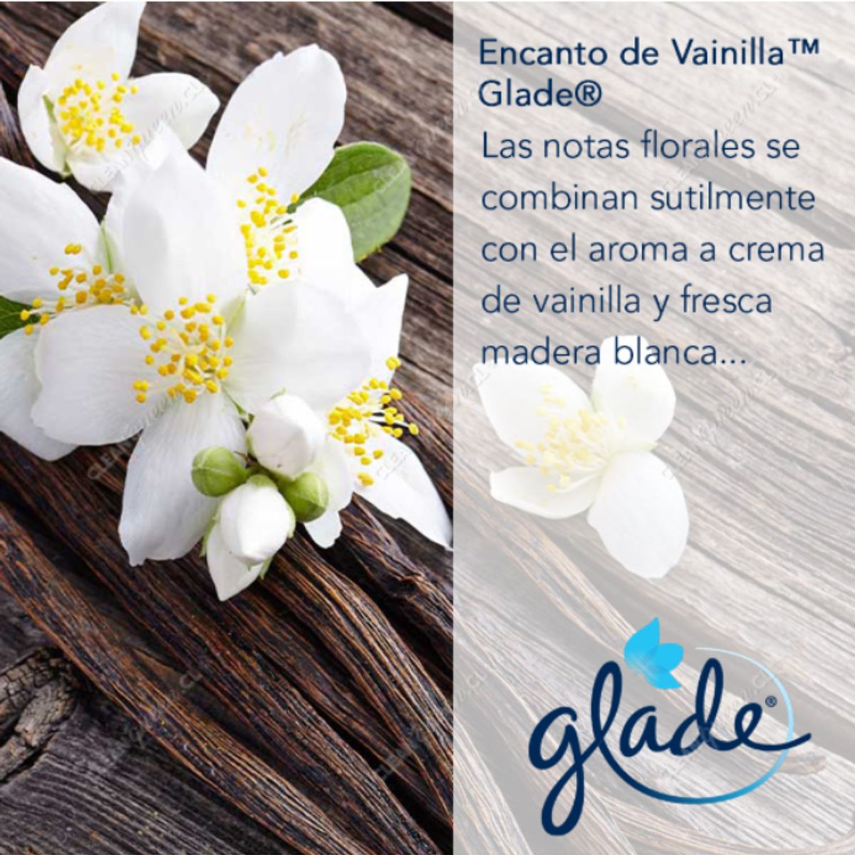 GLADE - Pack Repuesto Desodorante Automático Glade Encanto de Vainilla