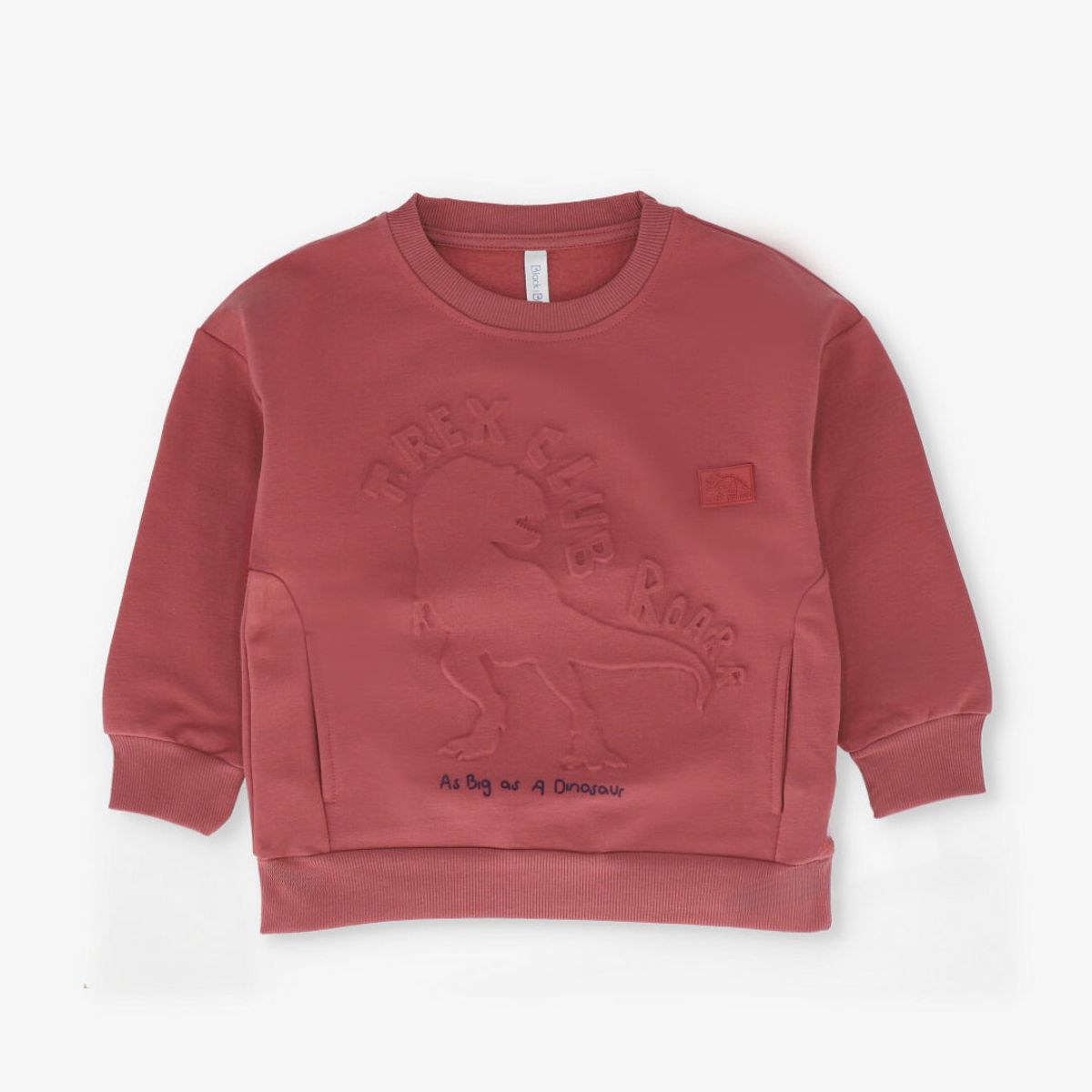 BLACK AND BLUE - Polerón niño t-rex club terracota Black and blue