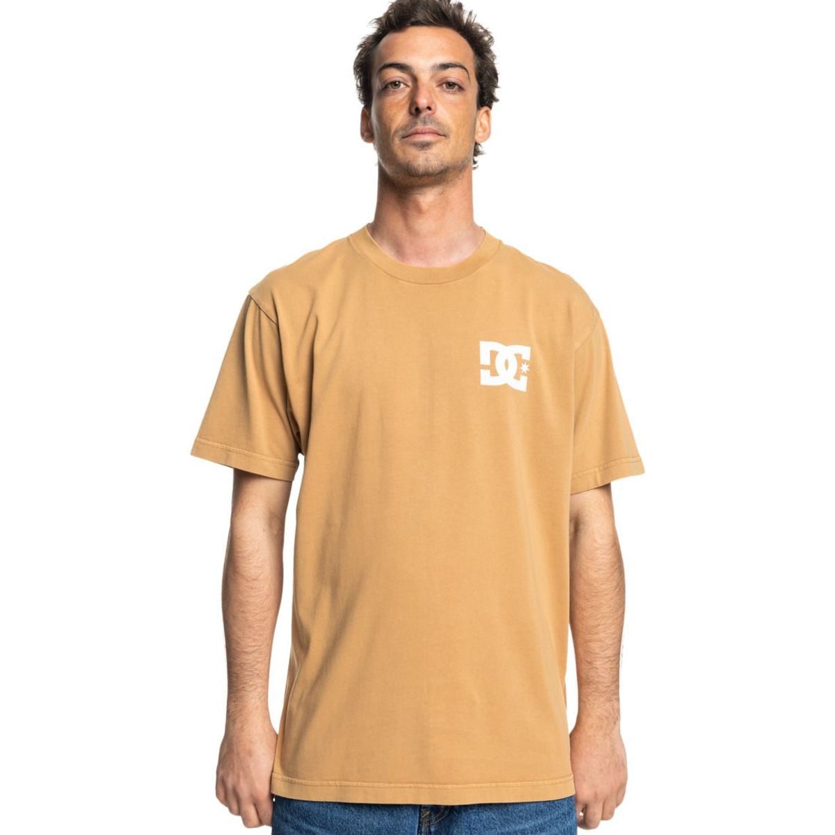 DC SHOES - Polera Hombre Line Up DC Beige