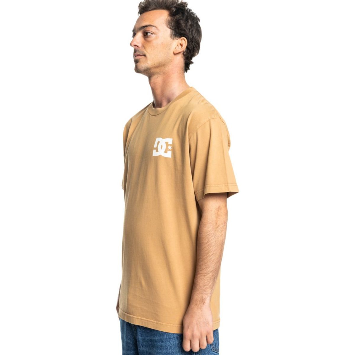 DC SHOES - Polera Hombre Line Up DC Beige