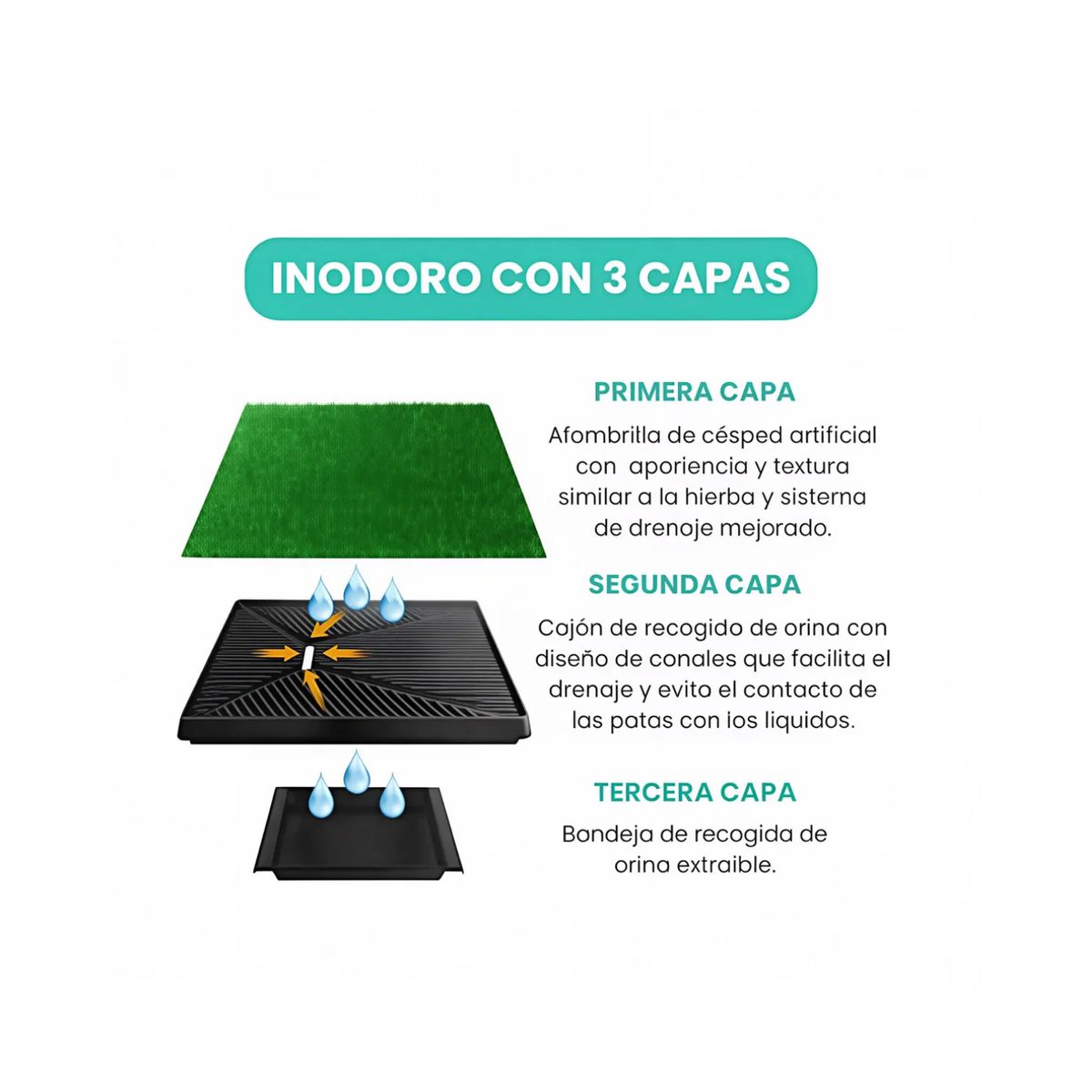 MOVI - Baño para Mascotas XXL Pet Potty - Tu Hogar Limpio y Tu Mascota Feliz