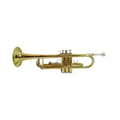 GCR - Trompeta YWTR-01