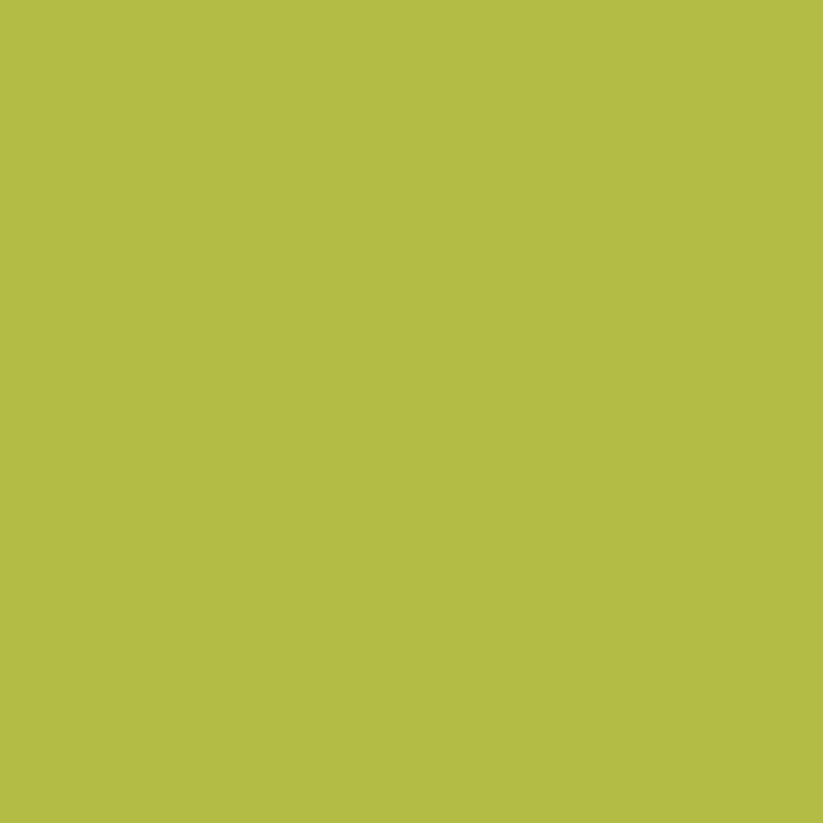 SILHOUETTE - Cardstock - Cartulina Autoadhesiva Verde Claro Silhouette