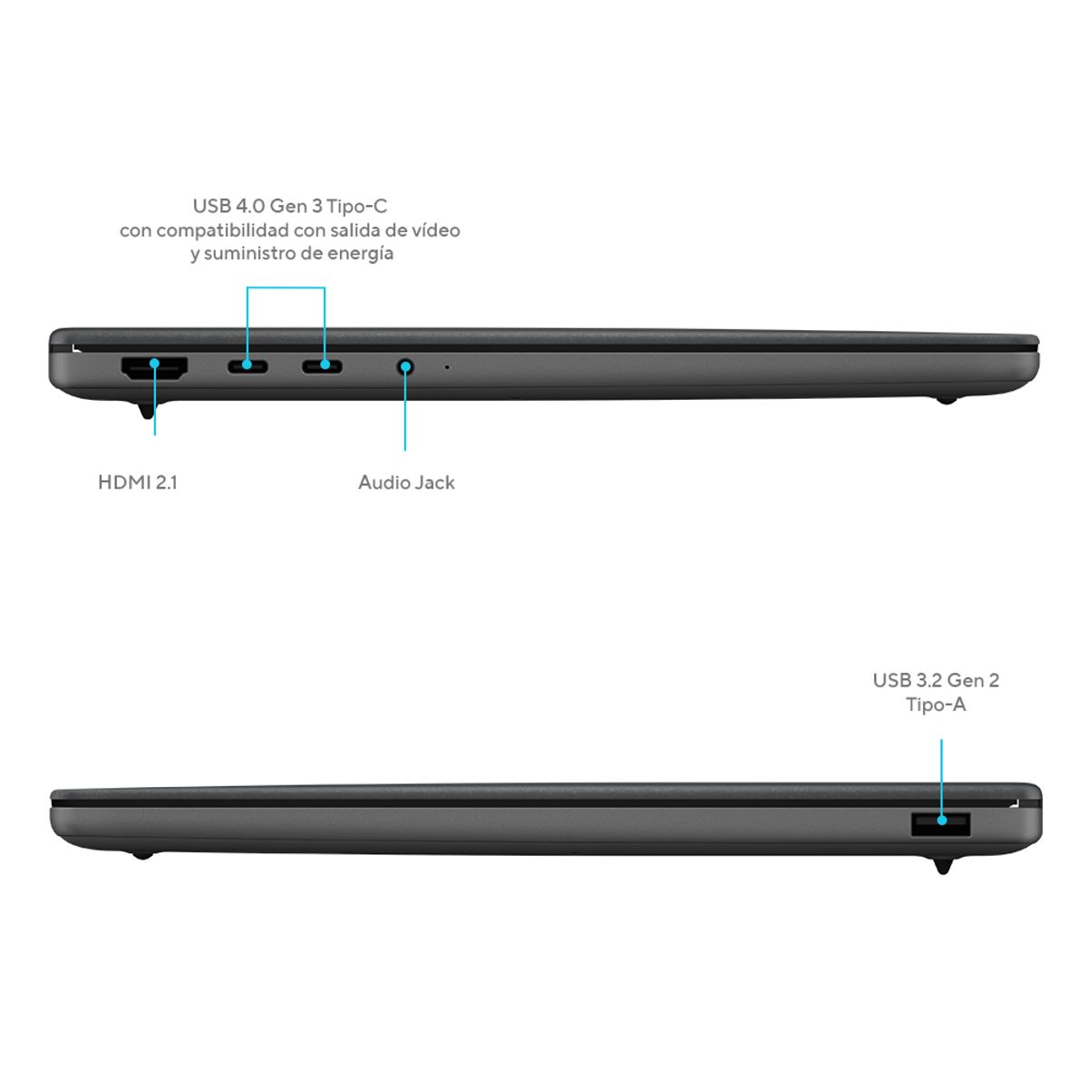 ASUS - Notebook ASUS Zenbook A14 Snapdragon X2 Elite X2E-88-100 32GB RAM 1TB SSD 14
