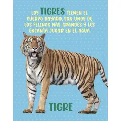 ZIG ZAG - LIBRO ANIMALES SALVAJES