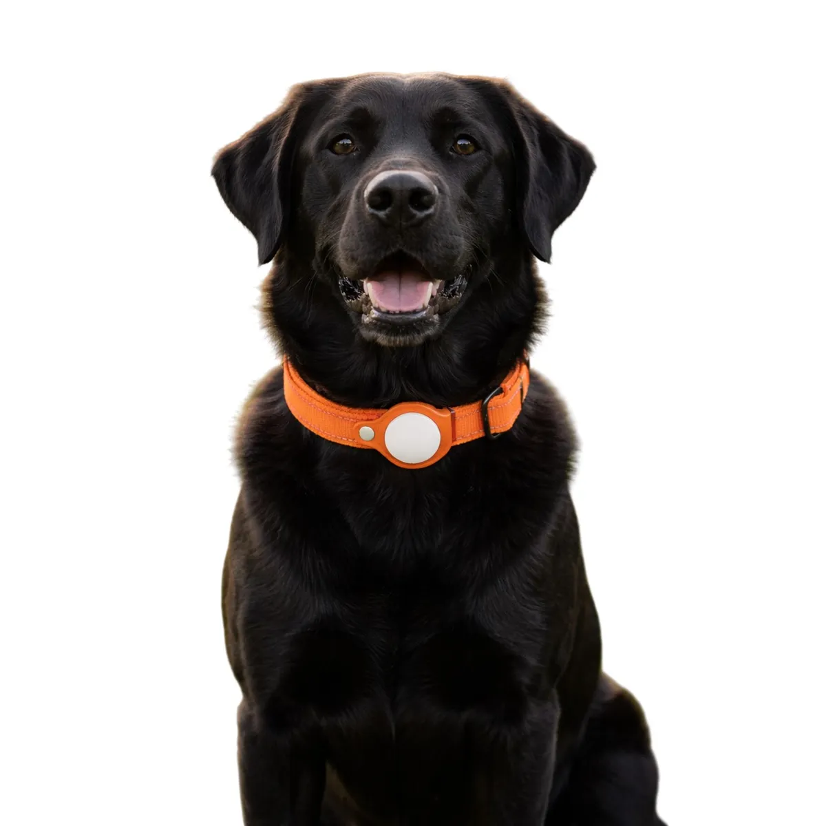GENERICO - Collar de Perro con Localizador GPS compatible con Android Talla M