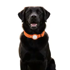 GENERICO - Collar de Perro con Localizador GPS compatible con Android Talla M