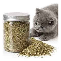 GENERICO - Hierba Gatera Para Gatos Snack Gatera Seca Para Gato 30g