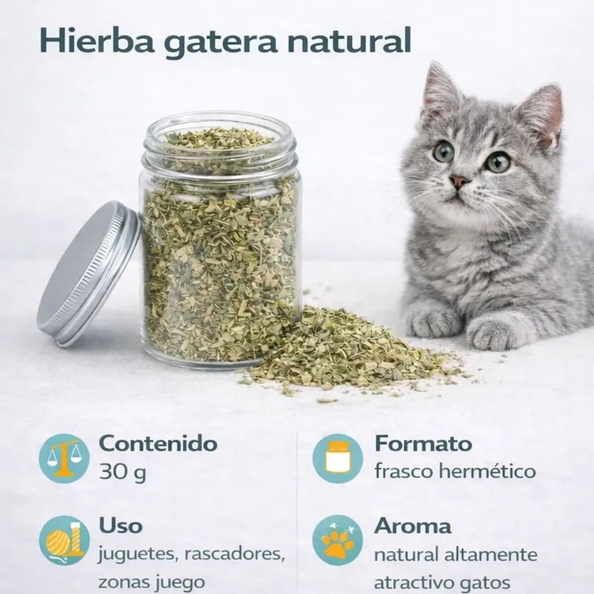 GENERICO - Catnip Felino Reduce Ansiedad Diversion Aroma Intenso Verde Oliva Tono Natural Organico Mascotas