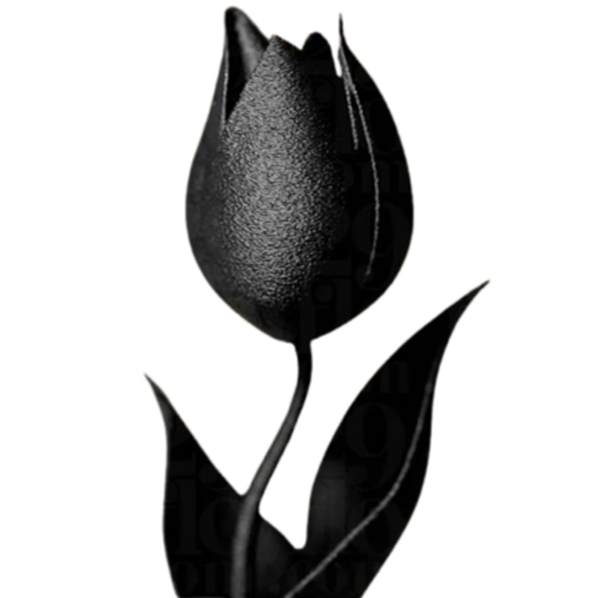 GENERICO - Figura decorativa Tulipan Negro Elegante
