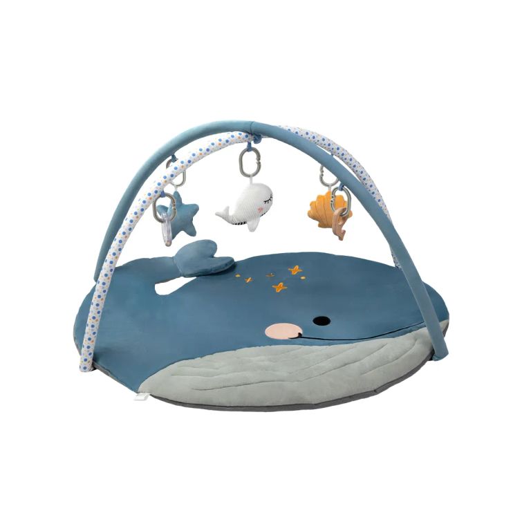 Gimnasio Didactico Ballena Azul