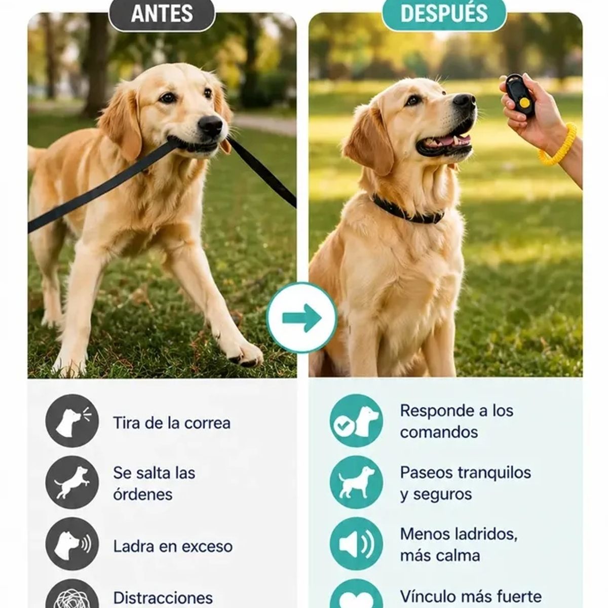 GENERICO - Clicker Entrenamiento Perro Reforzamiento Positivo Sonido Pro