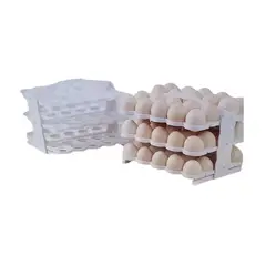GENERICO - Huevera Plegable Organizador De Huevos 60 Unidades