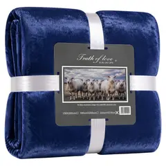 DECODREAMS - Manta Polar Plush Azul 200x230 cm Suave Abrigadora para Cama y Sofá
