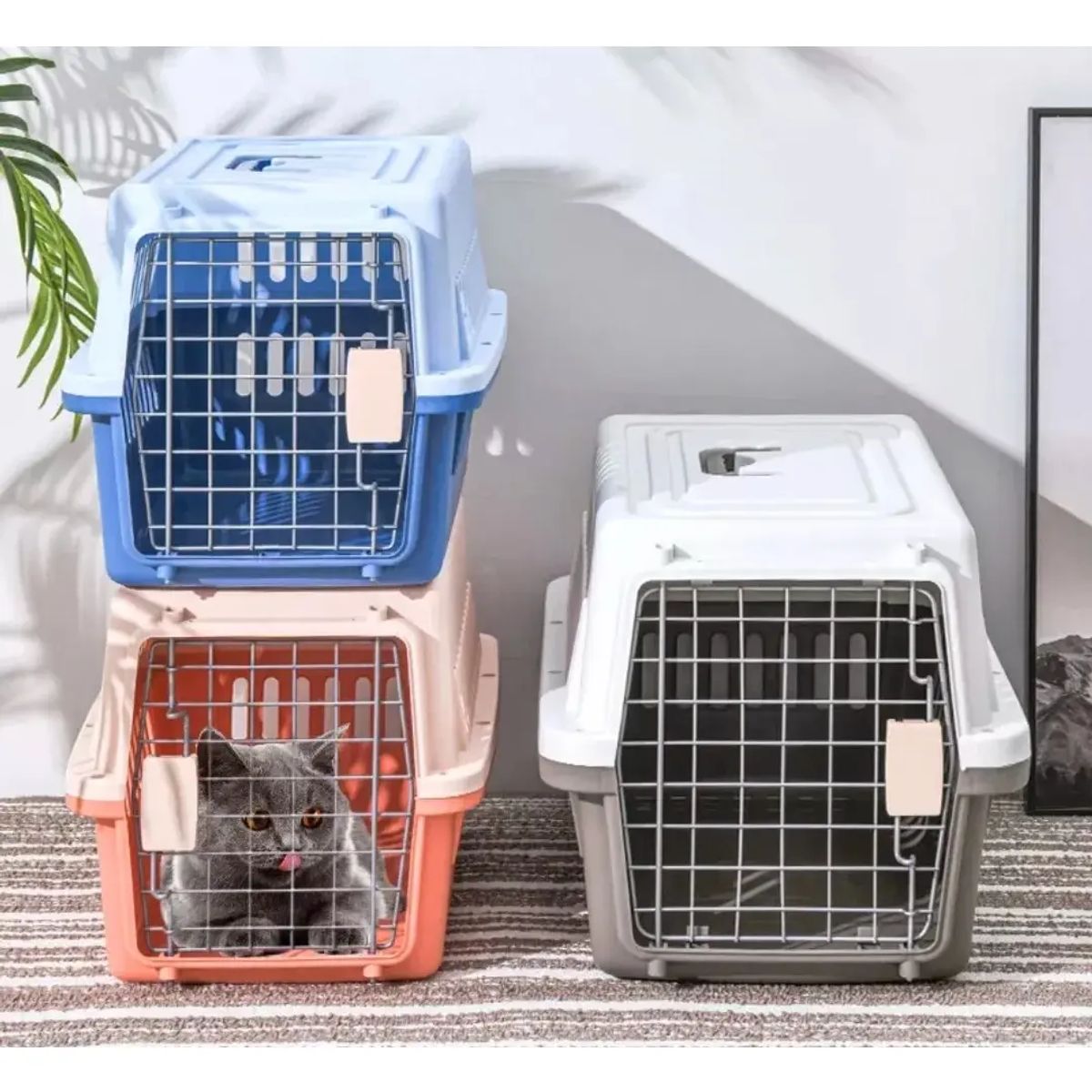 NO LOGO - Canil Transportadora Gatos Perros Mascotas Cafe