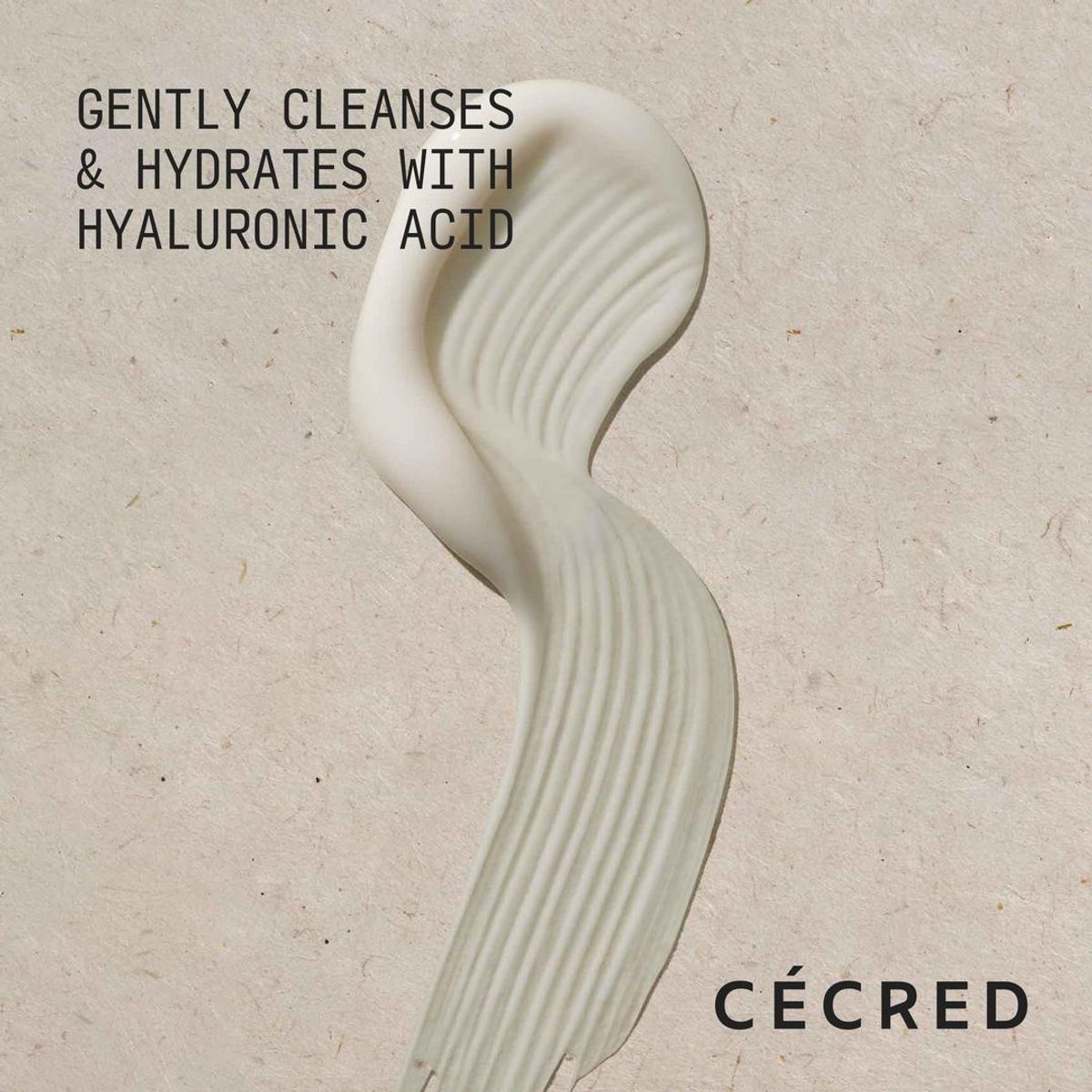CECRED - Shampoo Hidratante - 236ml Cecred by Beyonce