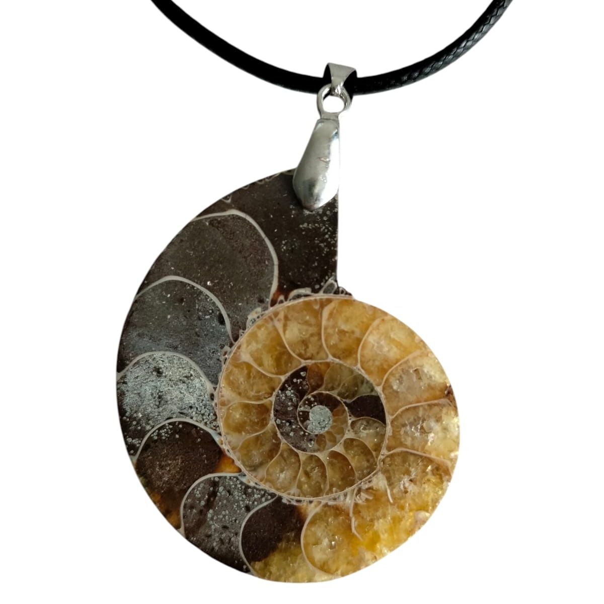 GENERICO - Collar Con Colgante de Fosil De AMmonite Natural Con Bolsa