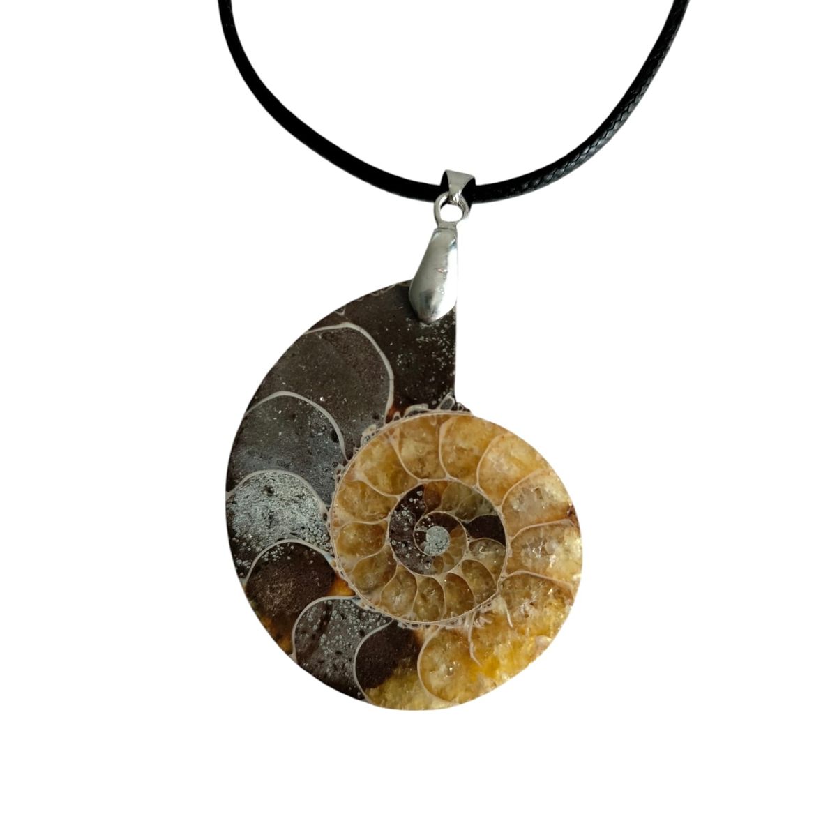 GENERICO - Collar Con Colgante de Fosil De AMmonite Natural Con Bolsa