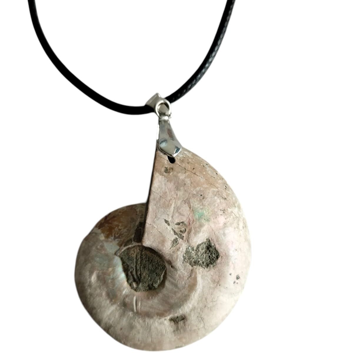 GENERICO - Collar Con Colgante de Fosil De AMmonite Natural Con Bolsa