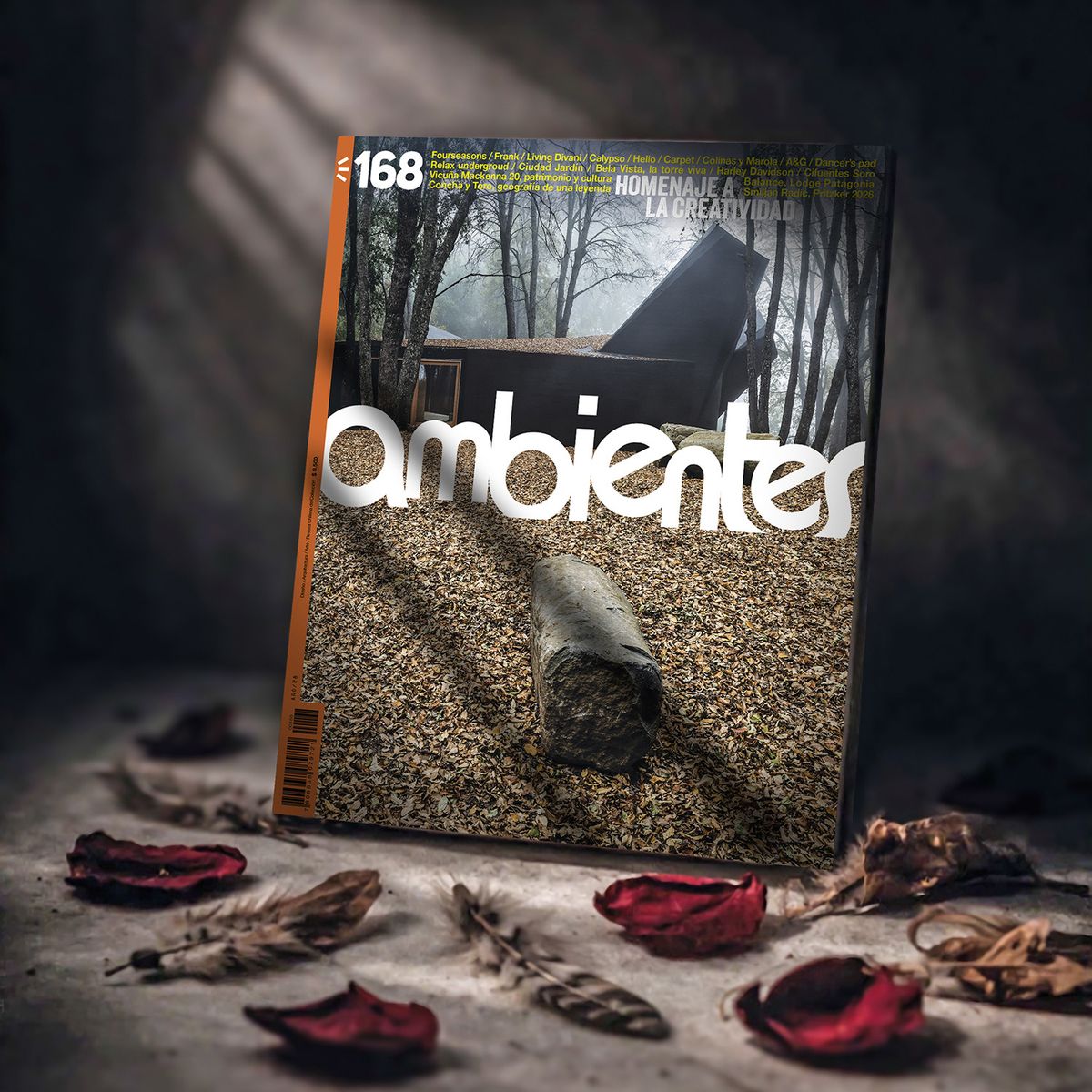 REVISTA AMBIENTES - REVISTA AMBIENTES 168