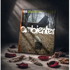 REVISTA AMBIENTES - 168