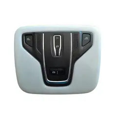 GENUINE - (2016-2025) Chery Tiggo 2 Y Pro Luz Consola Techo C/ Sunroof