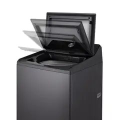 LG - Lavadora Carga Superior 21Kg con AIDD WT21PBTX6