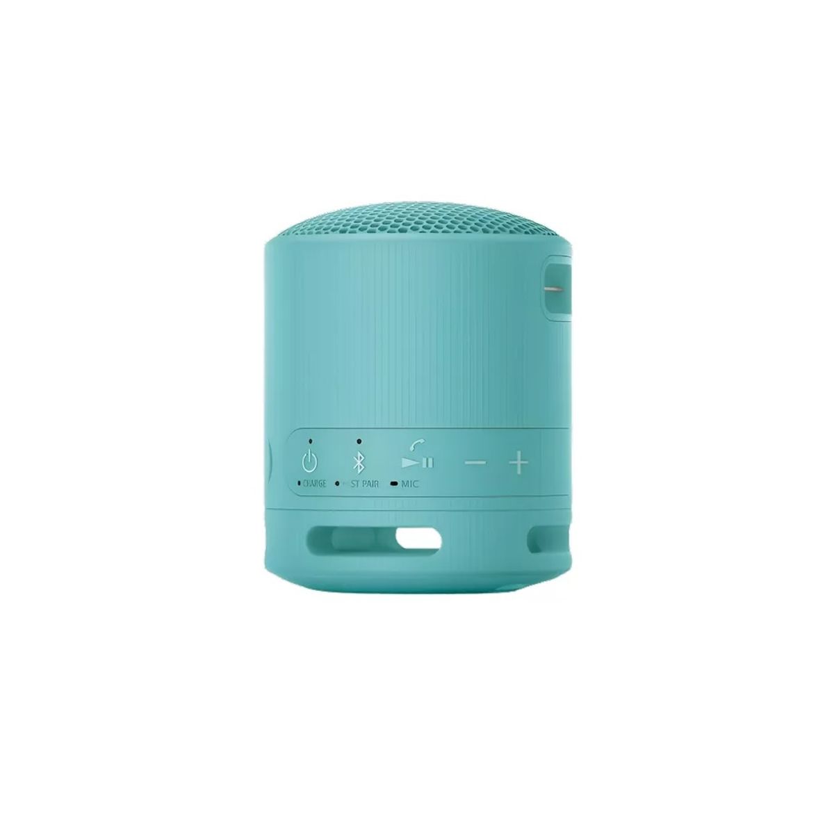SONY - Parlante Bluetooth Sony Modelo XB100