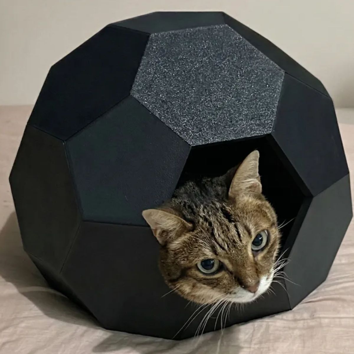 GENERICO - Casa para gatos estilo caparazón de tortuga