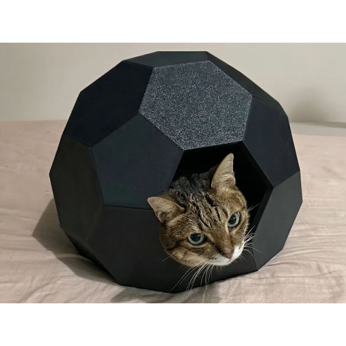 GENERICO - Casa para gatos estilo caparazón de tortuga