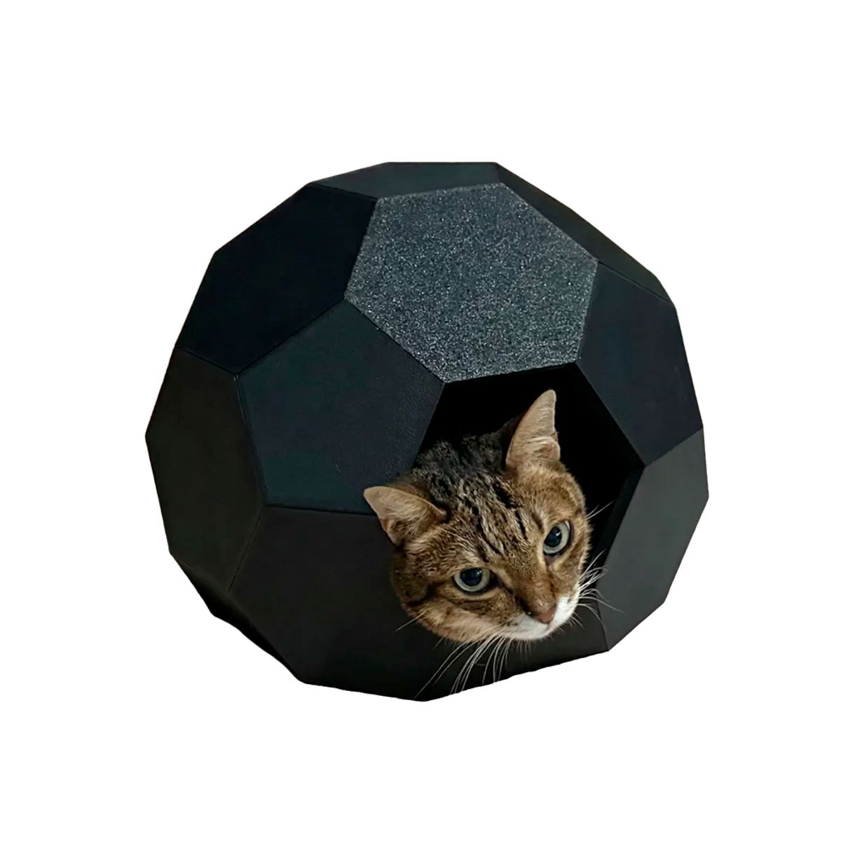 GENERICO - Casa para gatos estilo caparazón de tortuga