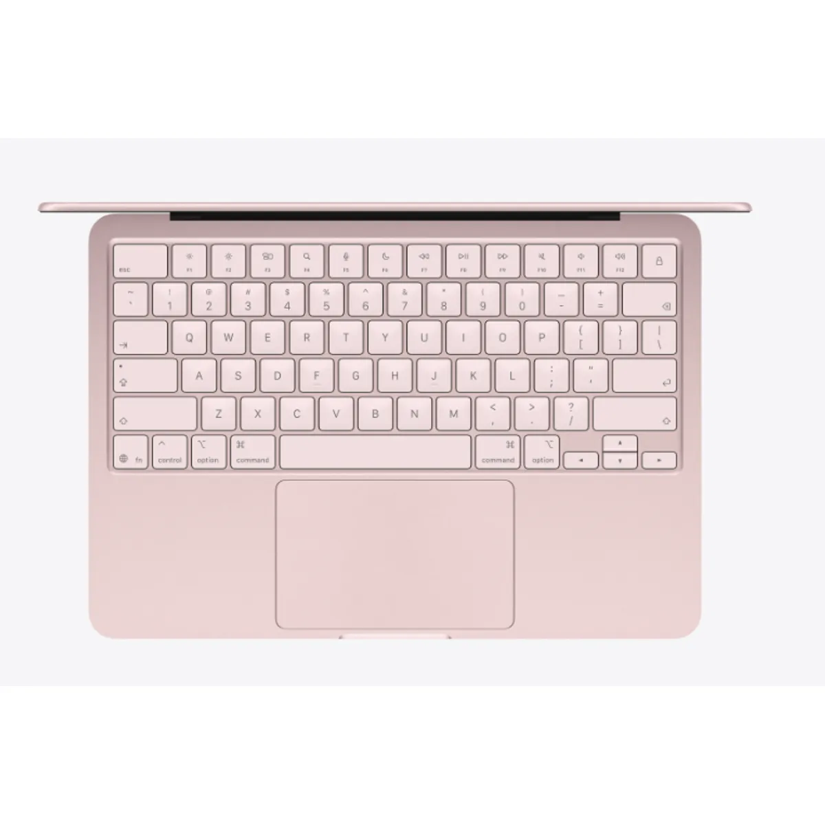 APPLE - Apple Macbook 13 8GB256GB rosa claro Teclado AZERTY