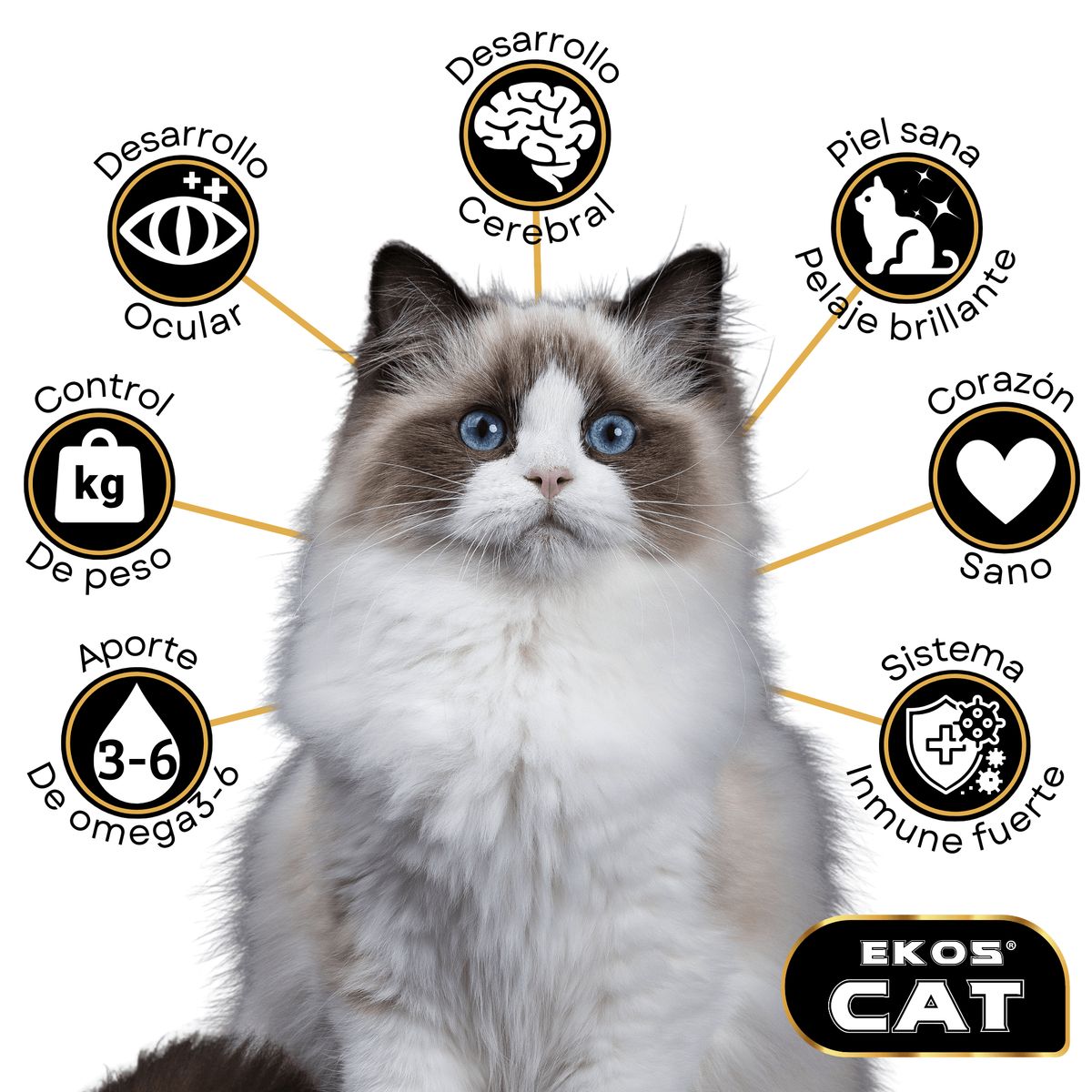 TRESKO - Alimento EkosCat gato adulto 10Kg