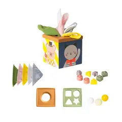 TAF TOYS - Cubo Juega y Descubre -