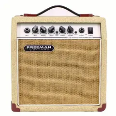 FREEMAN - Amplificador de guitarra electroacustica WA-15