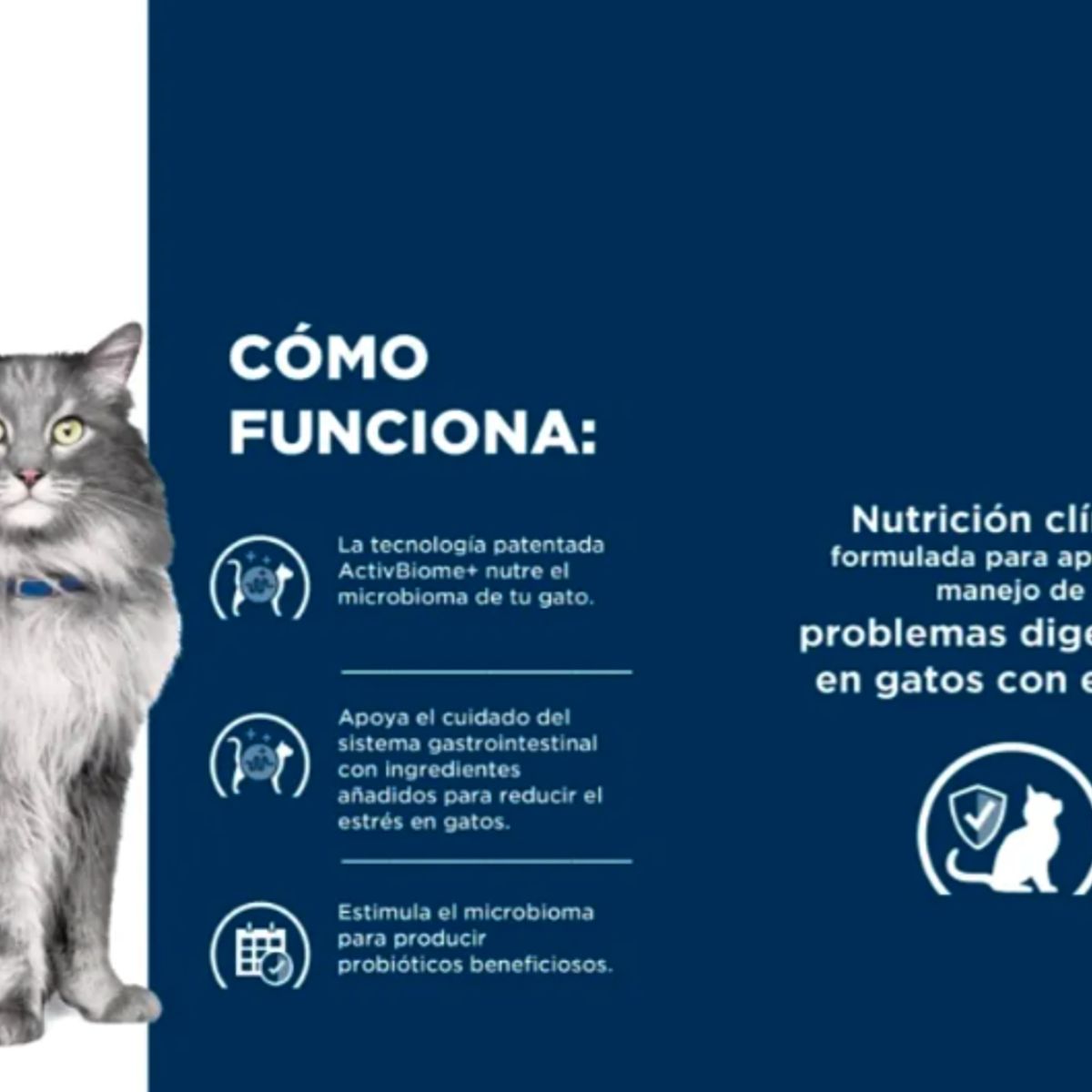 HILLS - 3X Alimento Hills Prescription Diet Para Gato Lata 82g CU