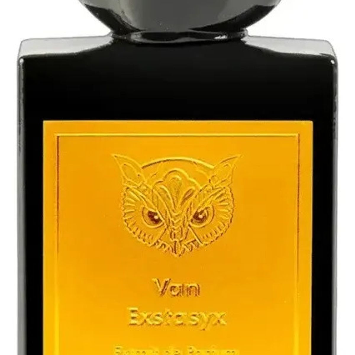 GENERICO - Perfume Unisex Lorenzo Pazzaglia Van Exstasyx Extrait 50 ML