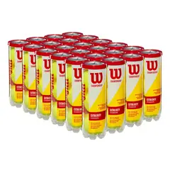 WILSON - Caja Pelotas Tenis Championship Extra Duty - 24 Tubos