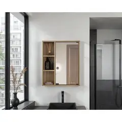 TUHOME - BOTIQUIN 1 PUERTA CON ESPEJO BERKEL 60X50X14,8 CM FRESNO
