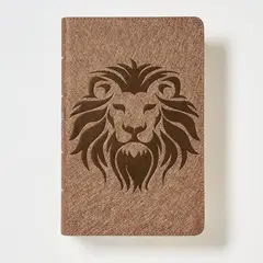 SOCIEDAD BIBLICA CHILENA - NBLA, Biblia visual de estudio para niños, León Café: Explora la Biblia
