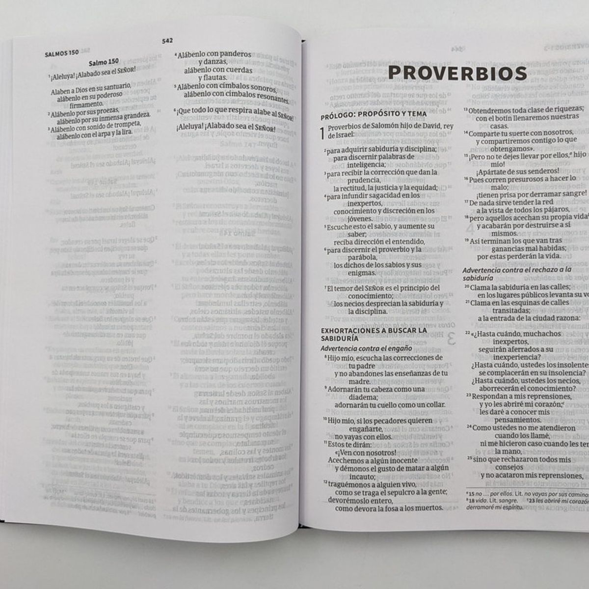 BROADMAN & HOLMAN PUBLISHERS - Biblia Nueva Versión Internacional  Tapa dura, negro