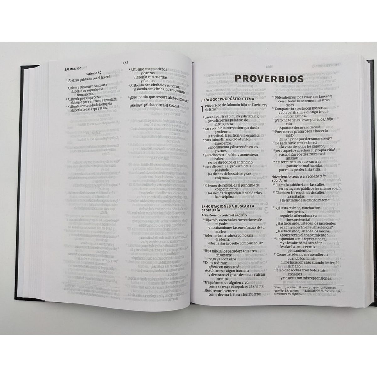 BROADMAN & HOLMAN PUBLISHERS - Biblia Nueva Versión Internacional  Tapa dura, negro