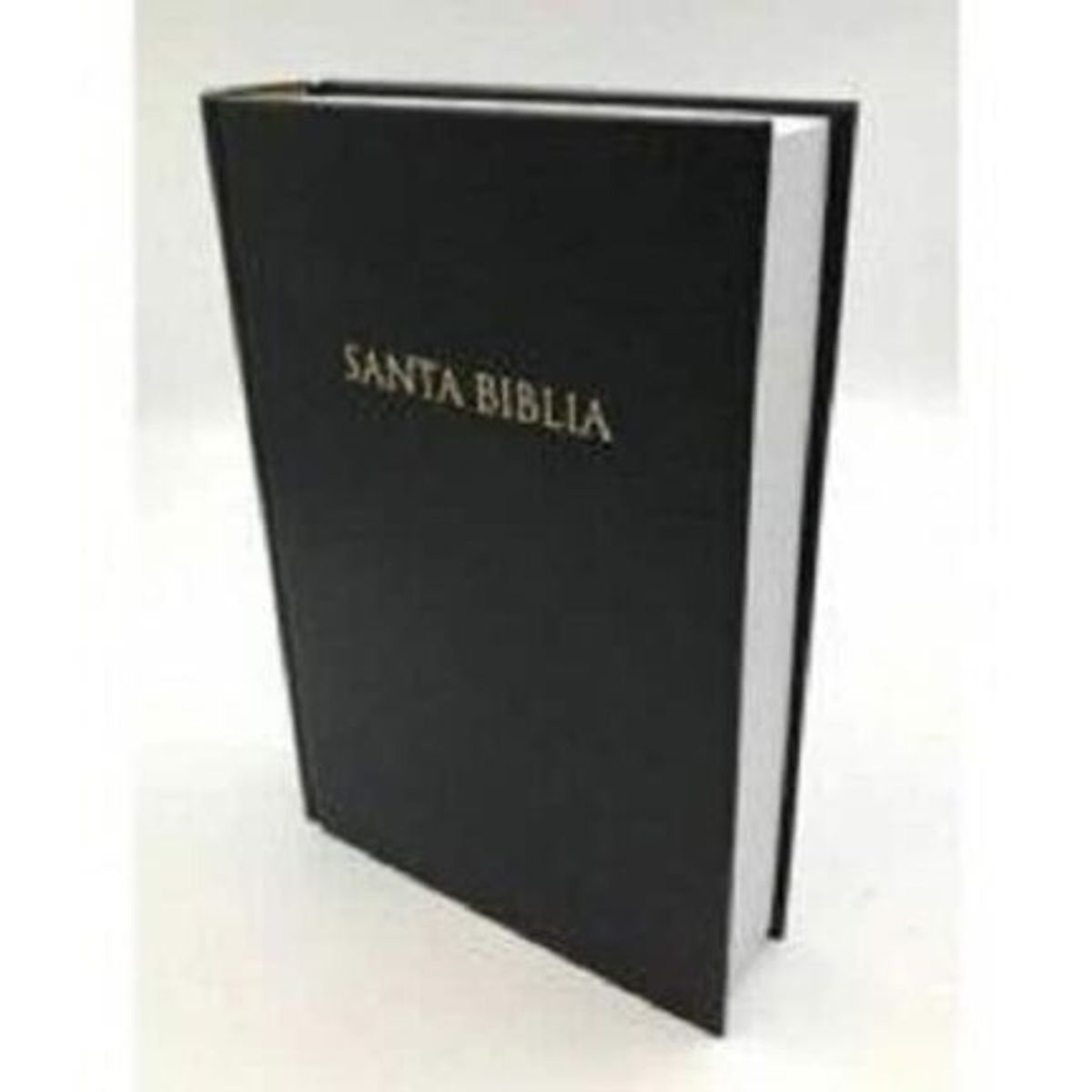 BROADMAN & HOLMAN PUBLISHERS - Biblia Nueva Versión Internacional  Tapa dura, negro