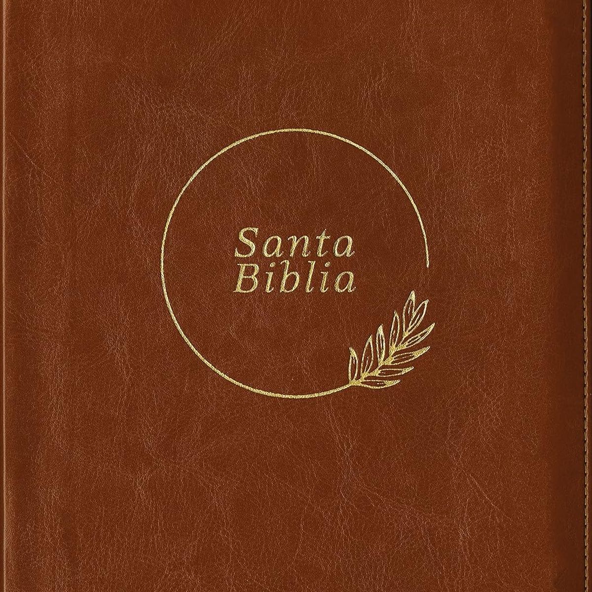 SOCIEDAD BIBLICA CHILENA - Biblia Reina Valera 1960 Con Referencias Letra Grande Café