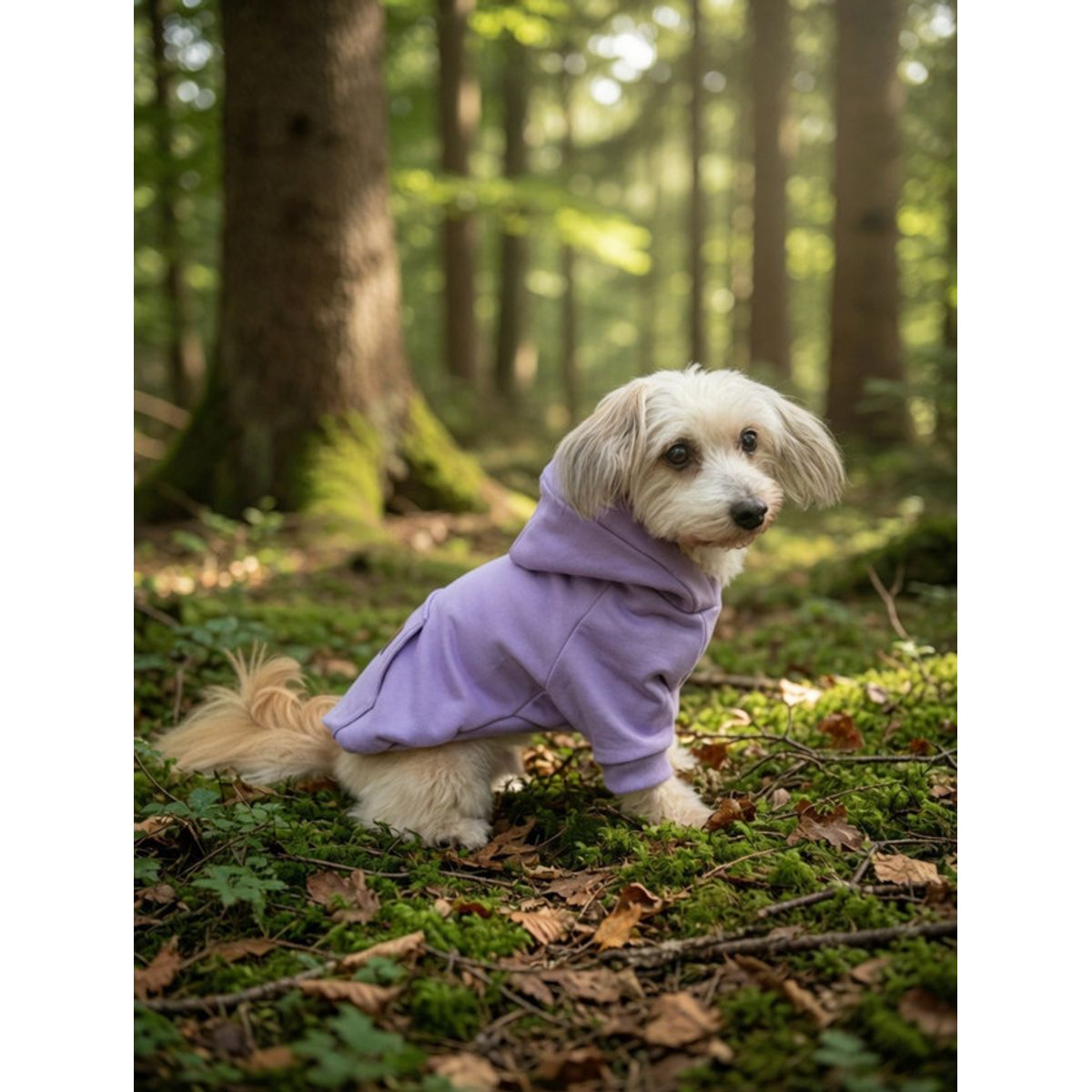 GENERICO - Poleron para Perro y Gato - Hoodie Lila con gorro Talla S