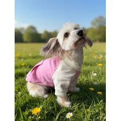 GENERICO - Poleron para Perro y Gato - Hoodie Rosa-Gris sin gorro Talla S