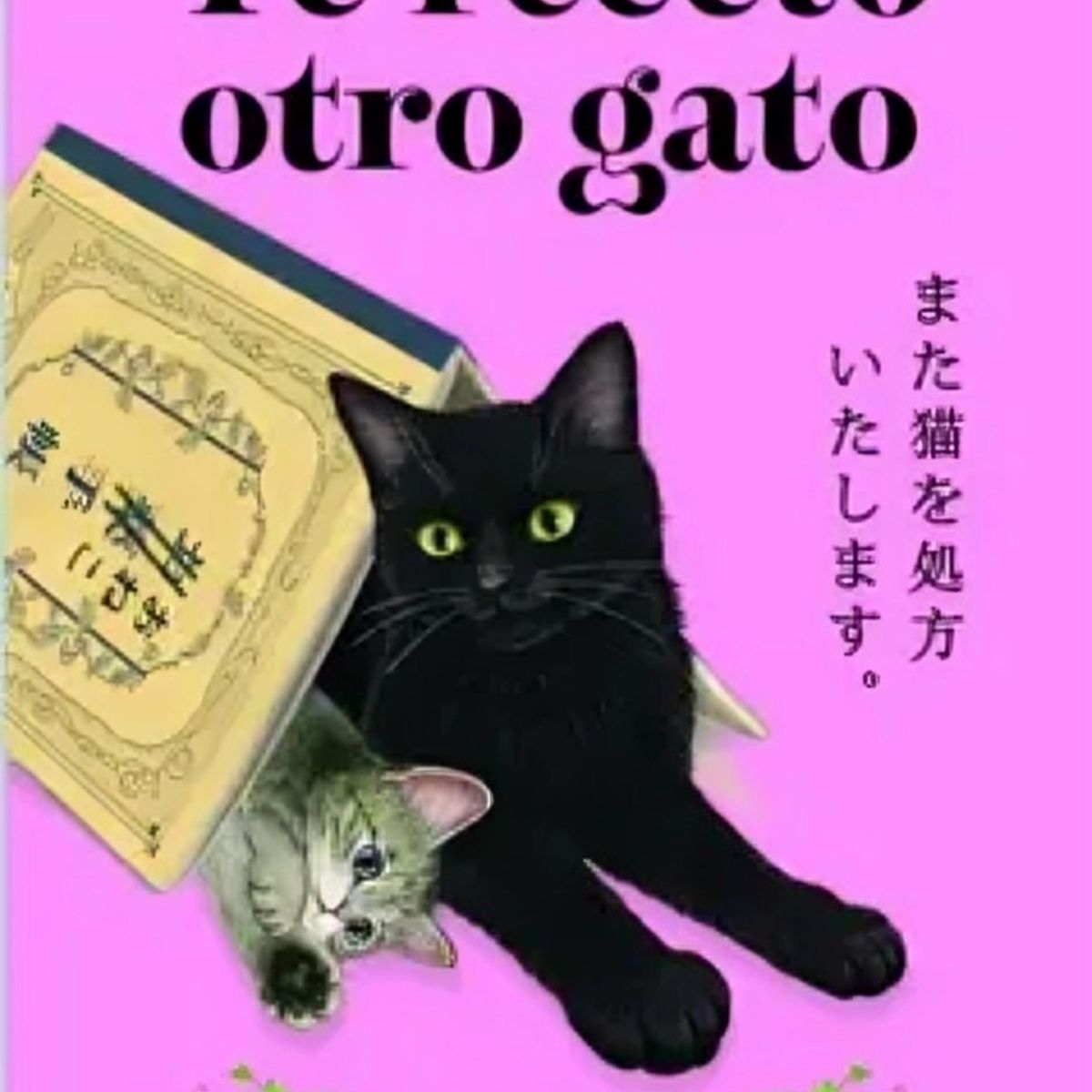 TOP10BOOKS - LIBRO Te Receto Otro Gato - SYOU ISHIDA