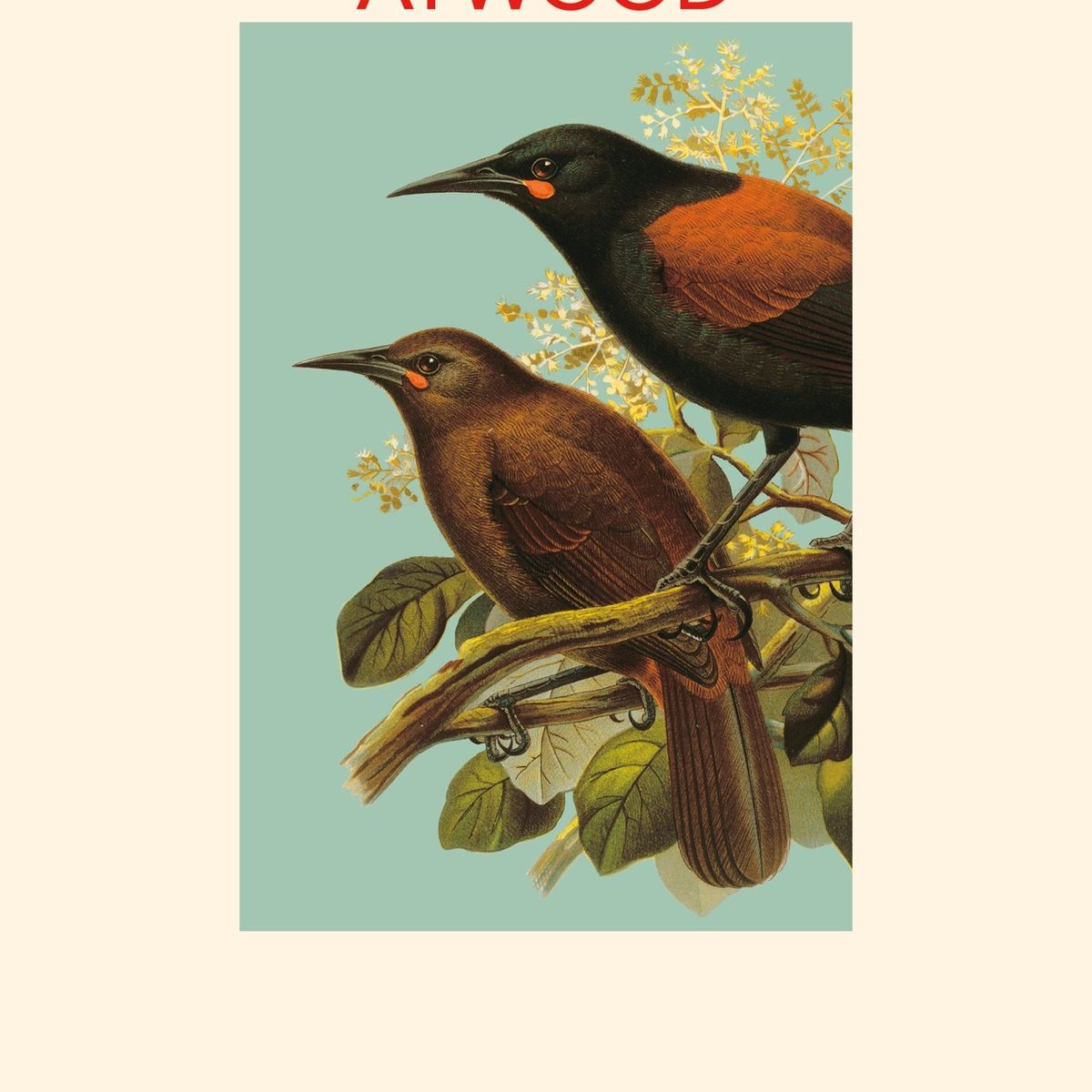 TOP10BOOKS - LIBRO El Ladrón Del Sol - ALICE HEMMING