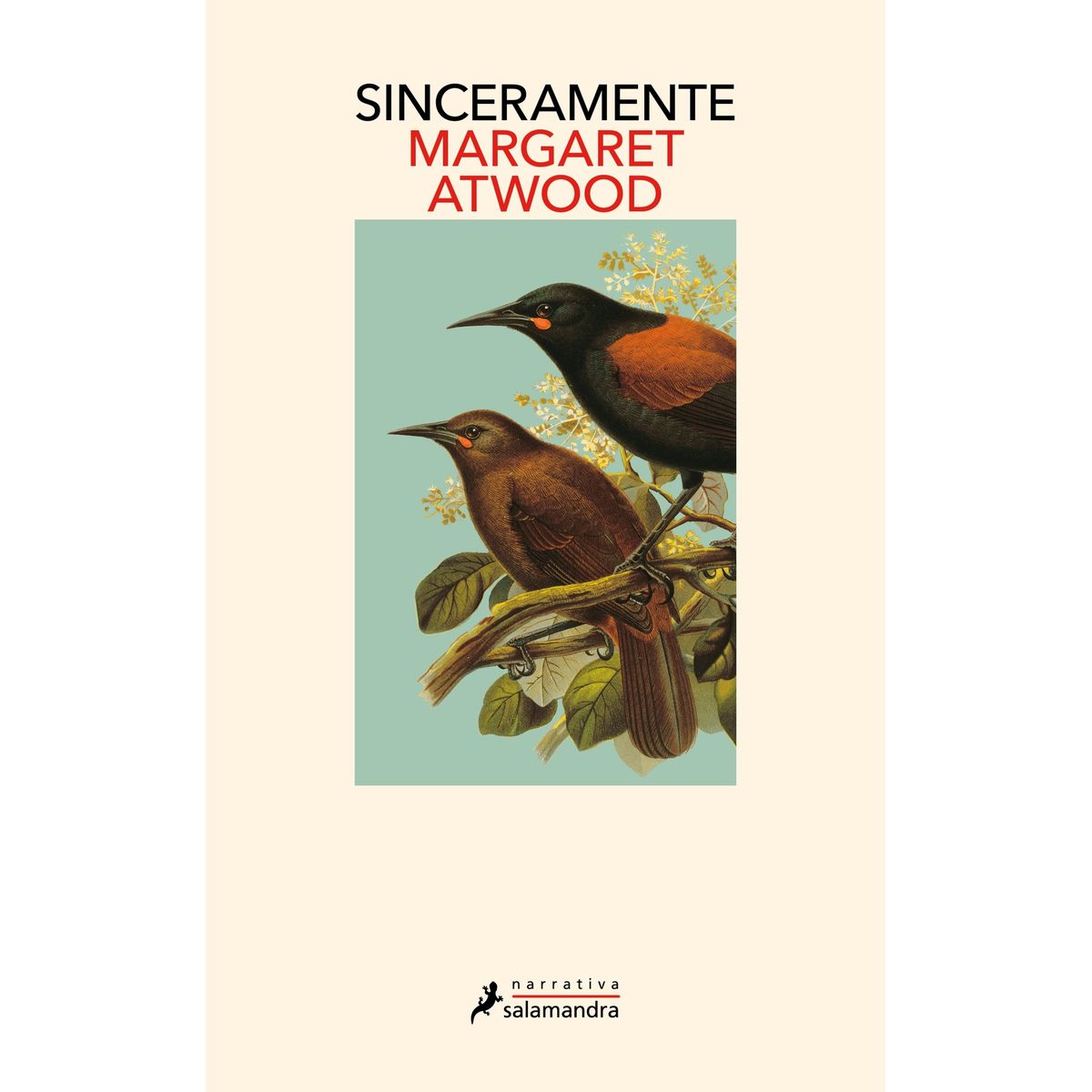 TOP10BOOKS - LIBRO El Ladrón Del Sol - ALICE HEMMING