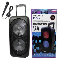 AMAZING - Parlante Karaoke Bluetooth Recargable Big-Pro 800